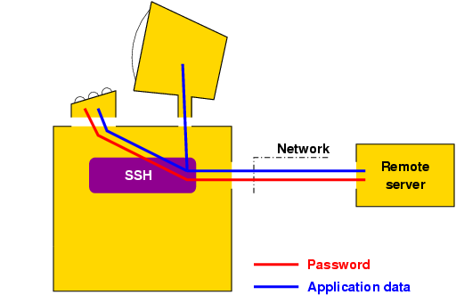 Password and application data flow to the remote server